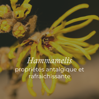 Pads Fraîcheur Post-partum lansinoh-fr