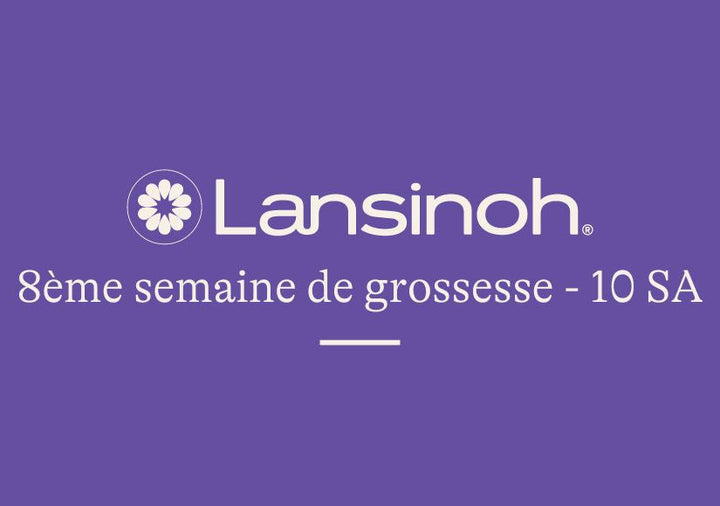 8e-semaine-de-grossesse-10SA lansinoh-fr