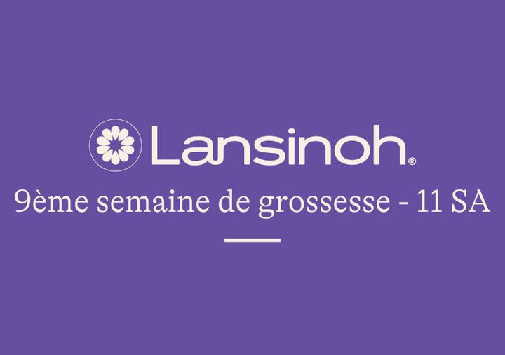 9e-semaine-de-grossesse-11SA lansinoh-fr