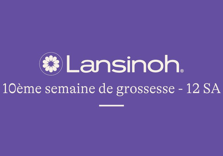 10e-semaine-de-grossesse-12SA lansinoh-fr
