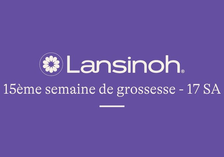 15e-semaine-de-grossesse-17SA lansinoh-fr