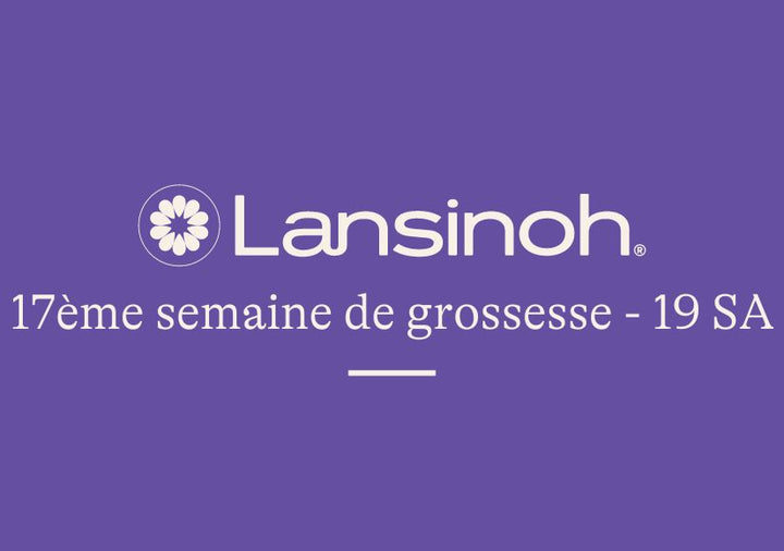 17e-semaine-de-grossesse-19SA lansinoh-fr
