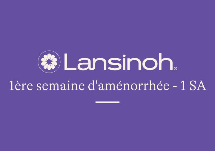 1e-semaine-d-aménorrhée-1SA lansinoh-fr