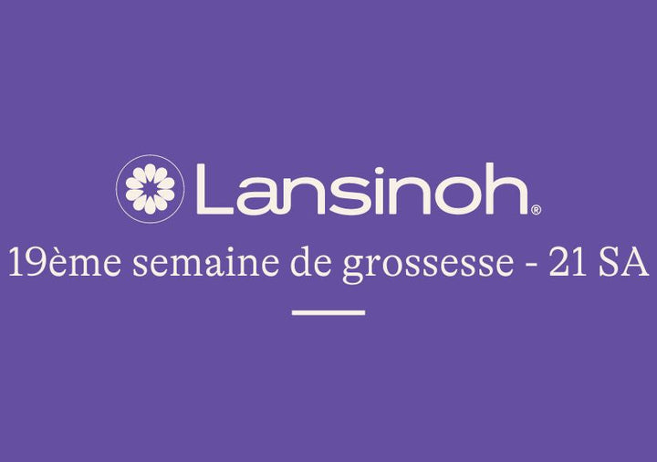 19e-semaine-de-grossesse-21SA lansinoh-fr
