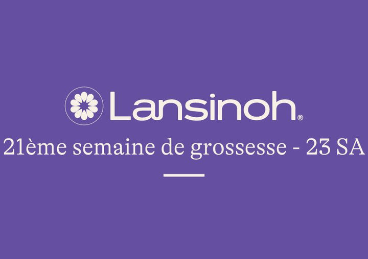 21e-semaine-de-grossesse-23SA lansinoh-fr