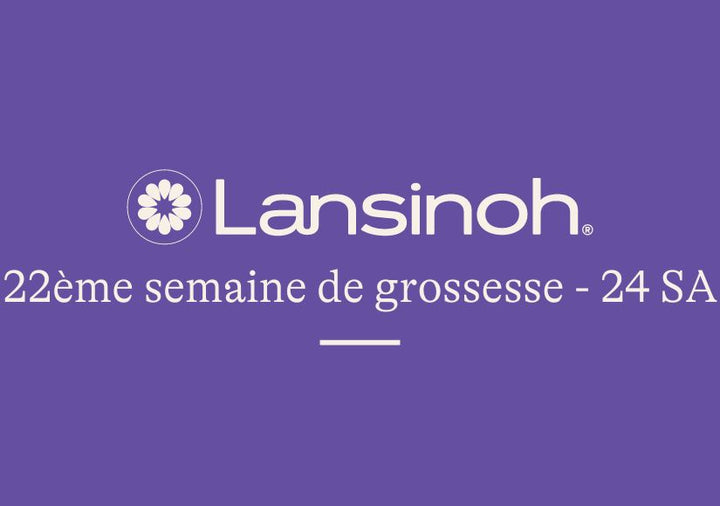 22e-semaine-de-grossesse-24SA lansinoh-fr
