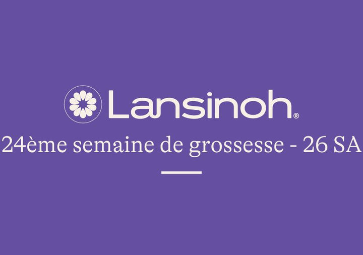 24e-semaine-de-grossesse-26SA lansinoh-fr