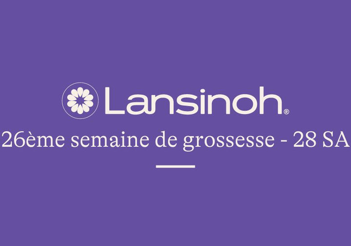 26e-semaine-de-grossesse-28SA lansinoh-fr