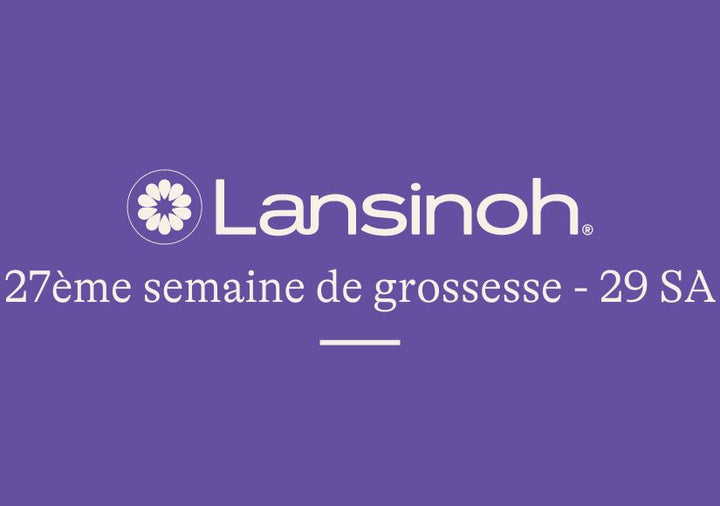 27e-semaine-de-grossesse-29SA lansinoh-fr