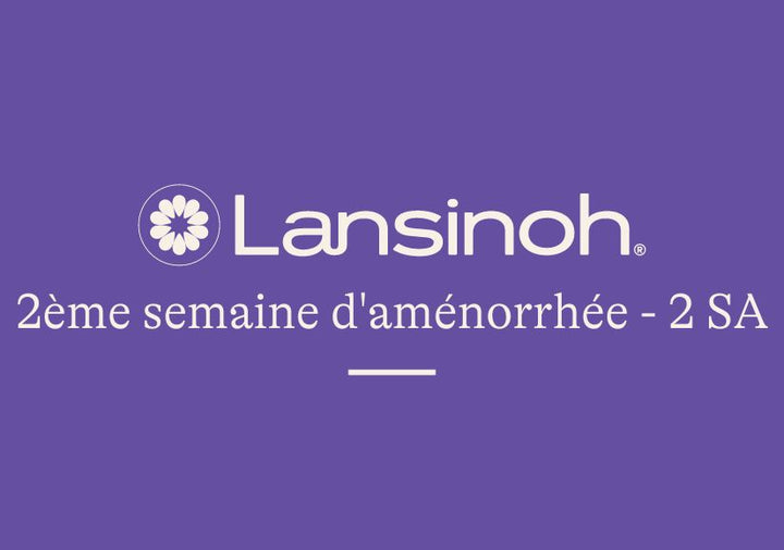 2e-semaine-d-aménorrhée-2SA lansinoh-fr