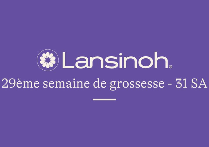 29e-semaine-de-grossesse-31SA lansinoh-fr
