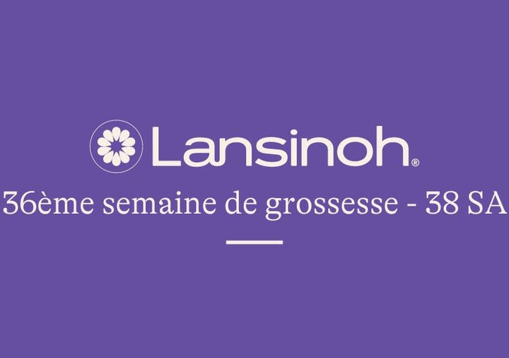 36e-semaine-de-grossesse-38SA lansinoh-fr