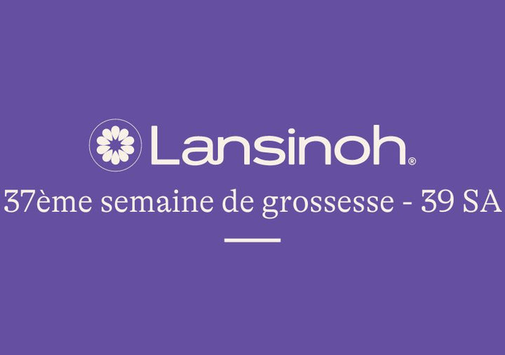 37e-semaine-de-grossesse-39SA lansinoh-fr
