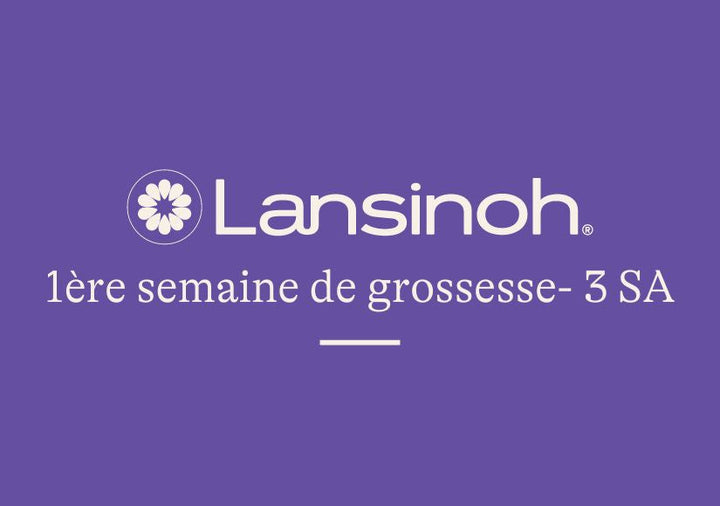 1e-semaine-de-grossesse-3SA lansinoh-fr