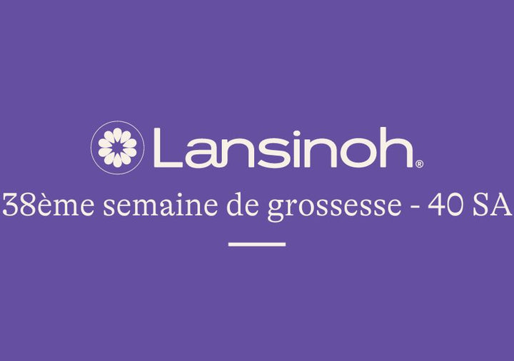 38e-semaine-de-grossesse-40SA lansinoh-fr