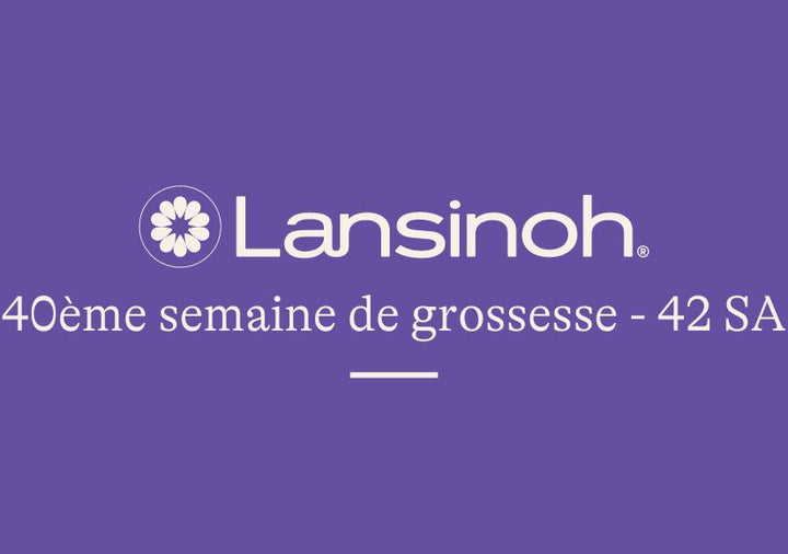 40e-semaine-de-grossesse-42SA lansinoh-fr