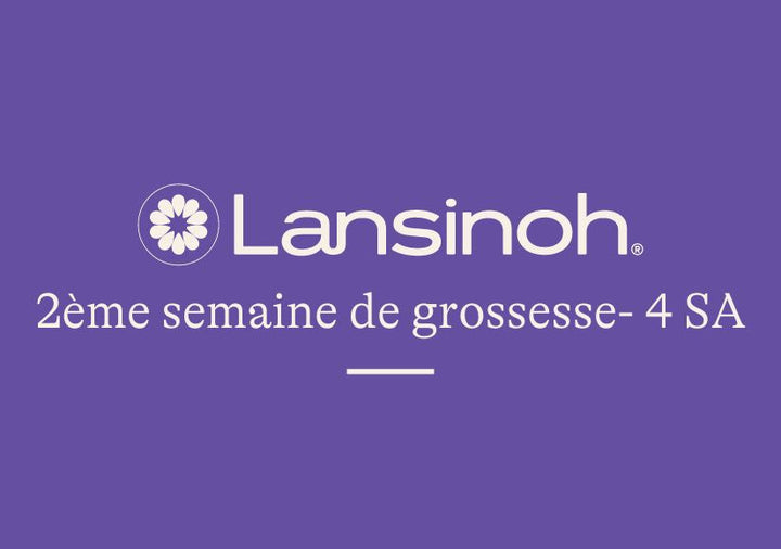 2e-semaine-de-grossesse-4SA lansinoh-fr