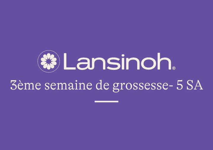 3e-semaine-de-grossesse-5SA lansinoh-fr