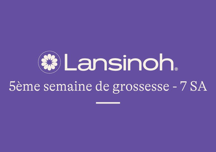 5e-semaine-de-grossesse-7SA lansinoh-fr