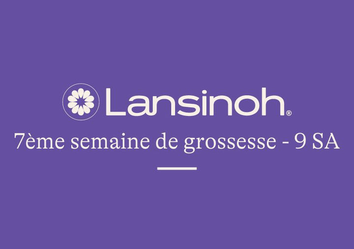 7e-semaine-de-grossesse-9SA lansinoh-fr