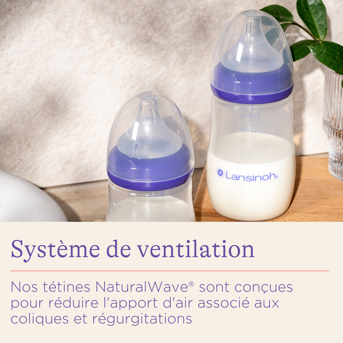 Biberons de conservation pour lait maternel Natural Wave - 4 x 160ml de  Lansinoh