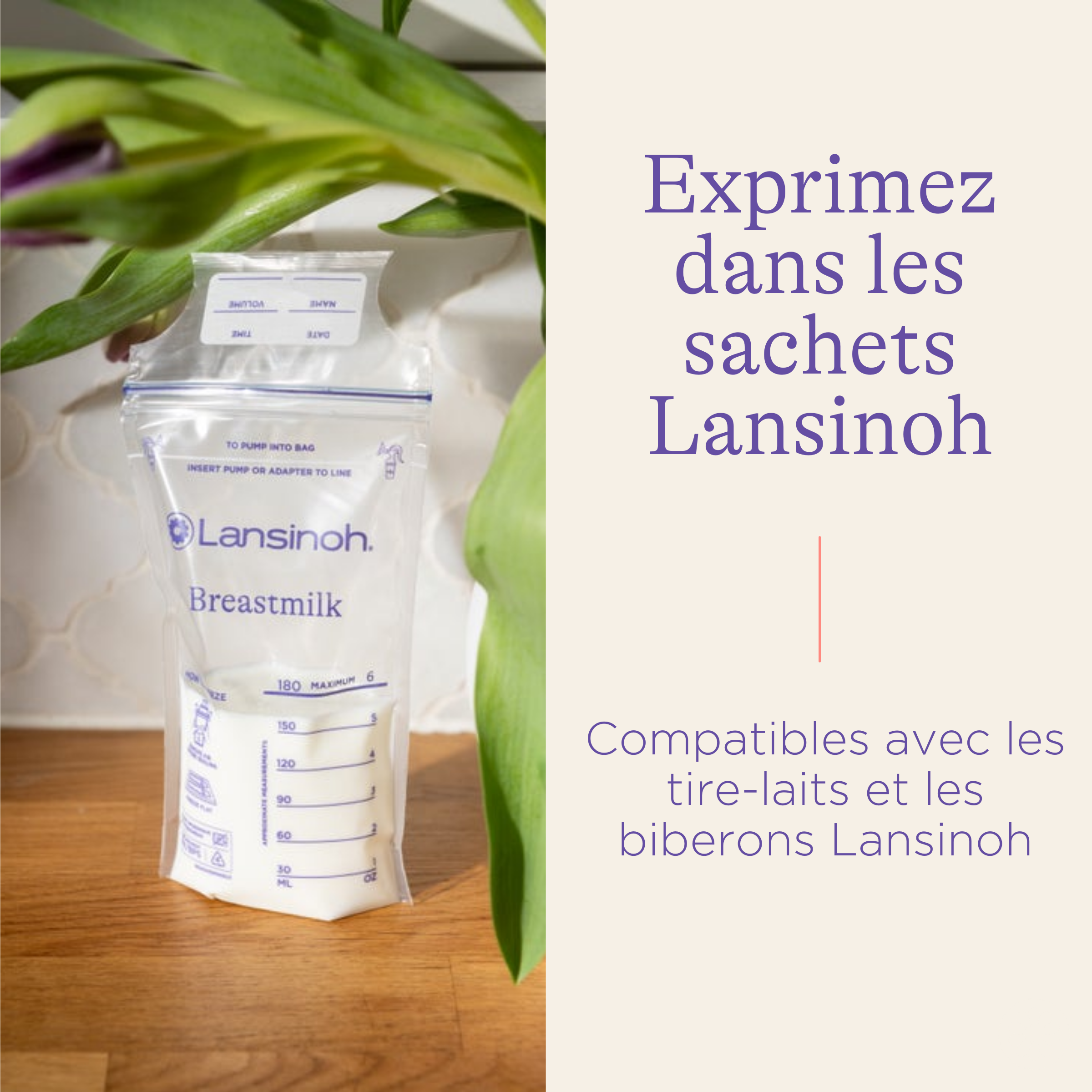 Lansinoh Sachets de conservation du lait maternel Lansinoh Sachets de conservation du lait maternel