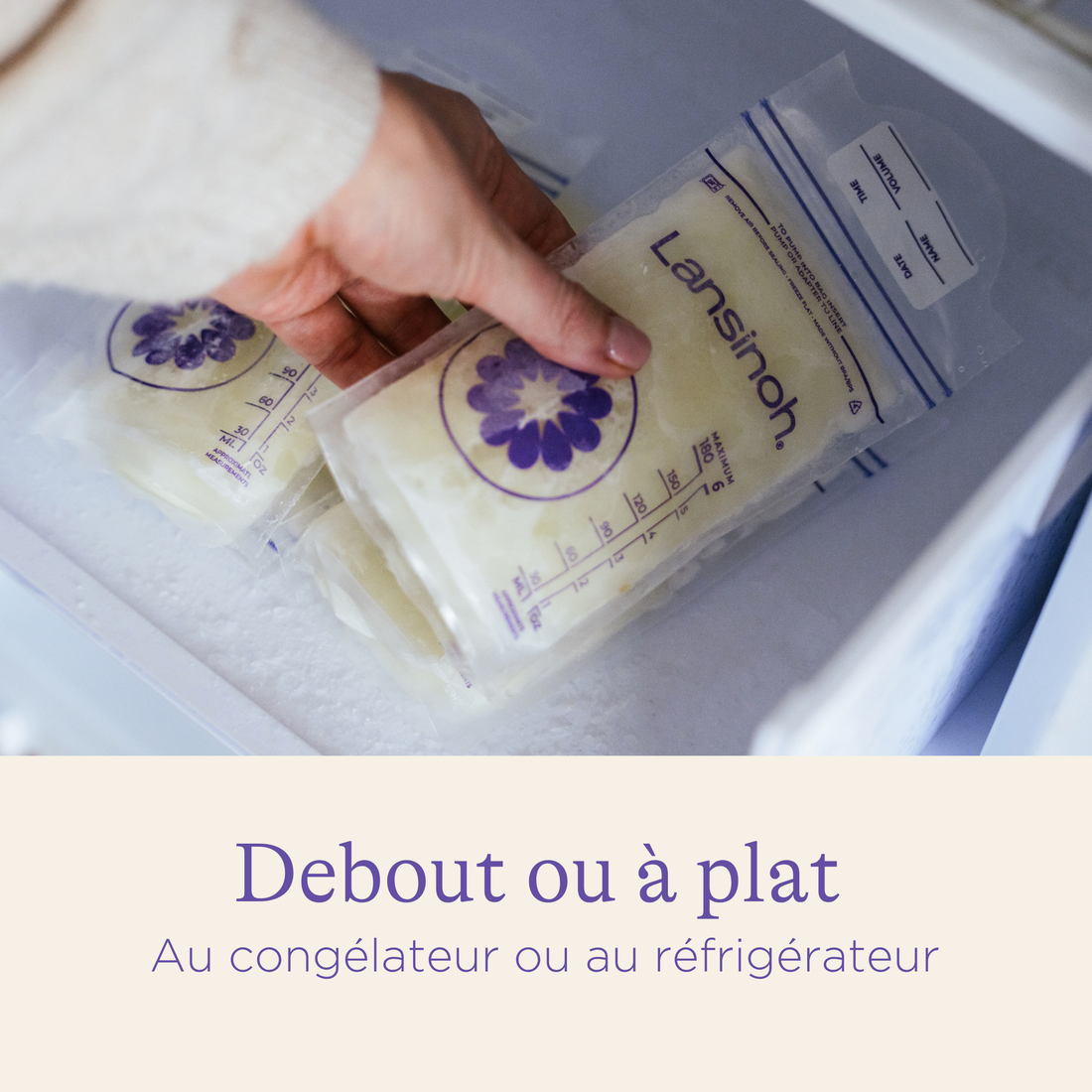 Les essentiels de l'allaitement - format XL
