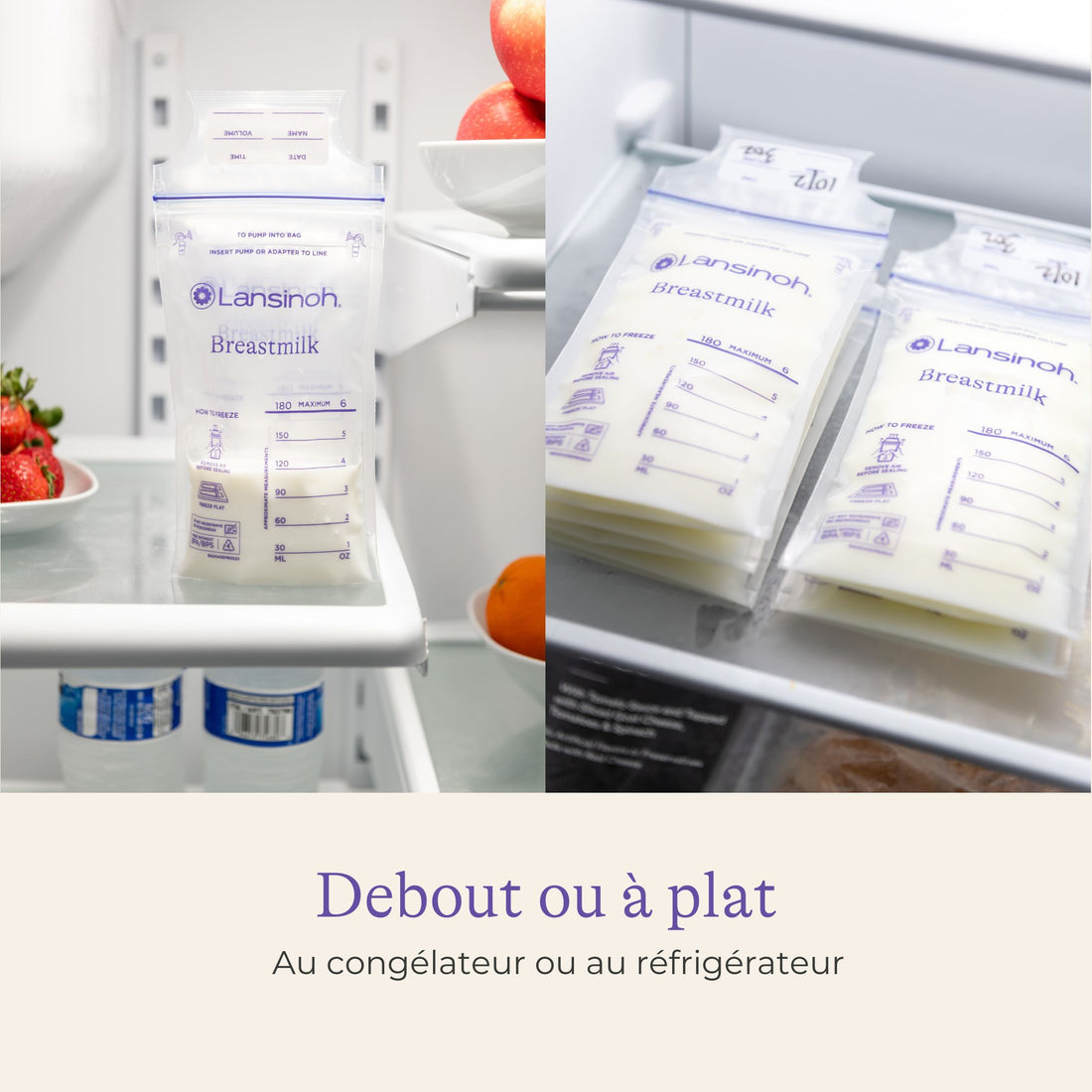 Les essentiels de l'allaitement - format XL